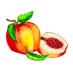 GL-8 Peach Tree